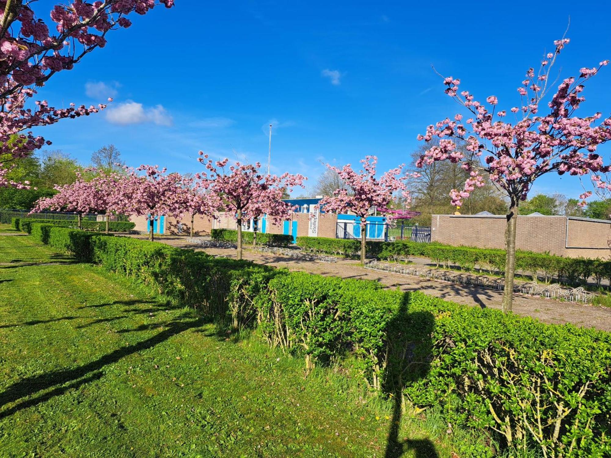 Vakantiehuis Mooie, Luxe Woning Aan Het Water 7 Persoons Vp005 Heinkenszand